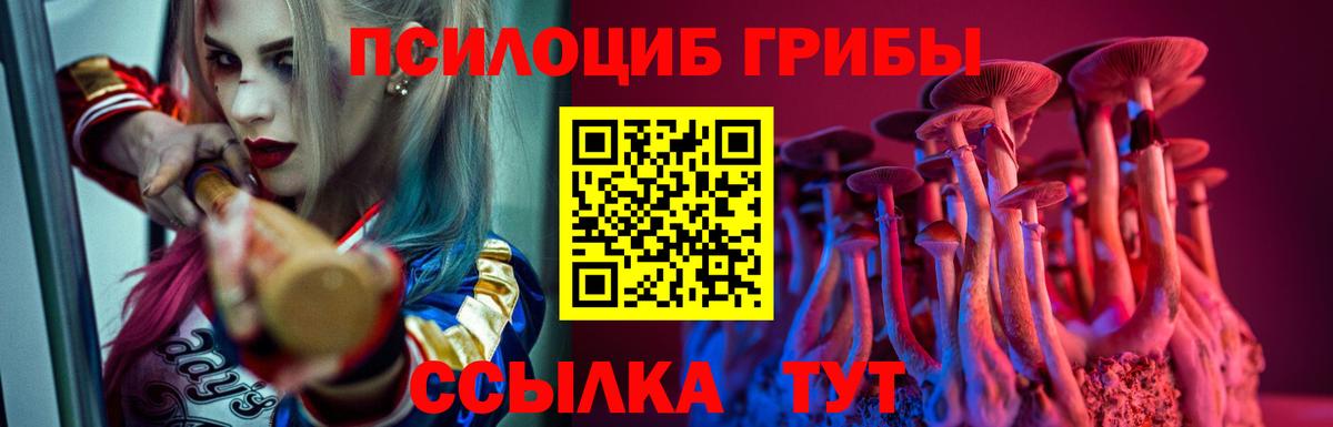 Псилоцибиновые грибы MAGIC MUSHROOMS Владикавказ